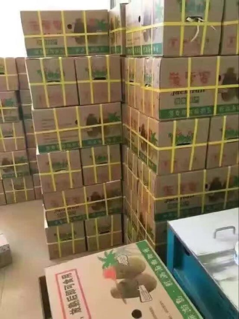 菠萝蜜