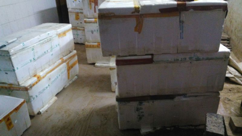 淮山药5~6厘米特级