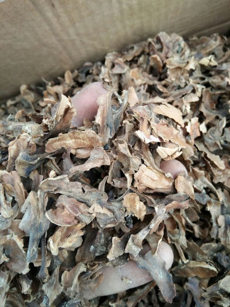 分心木