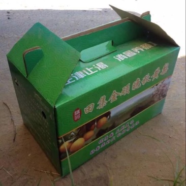 丰水梨