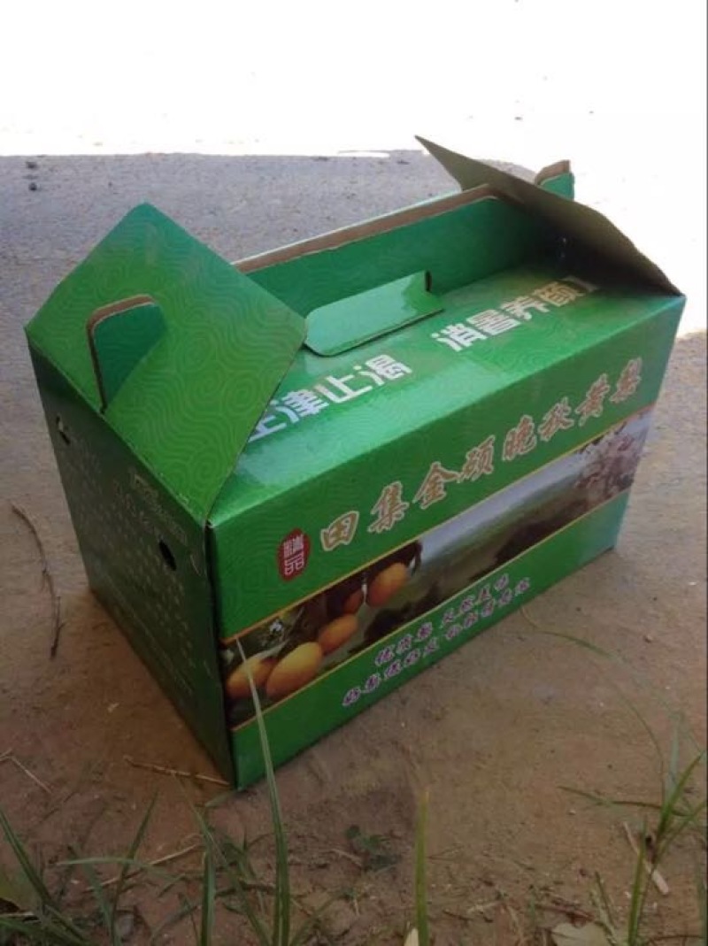 丰水梨