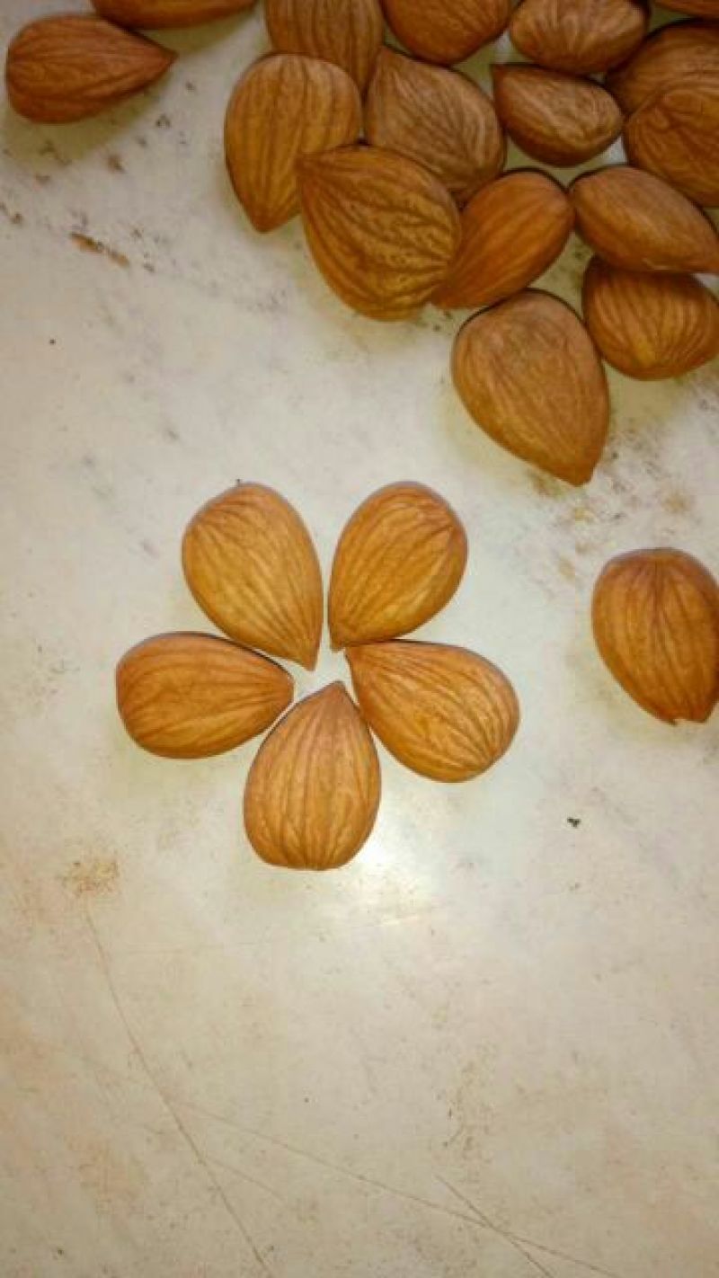 甜杏仁一级