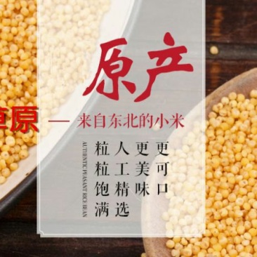 黄金米袋装