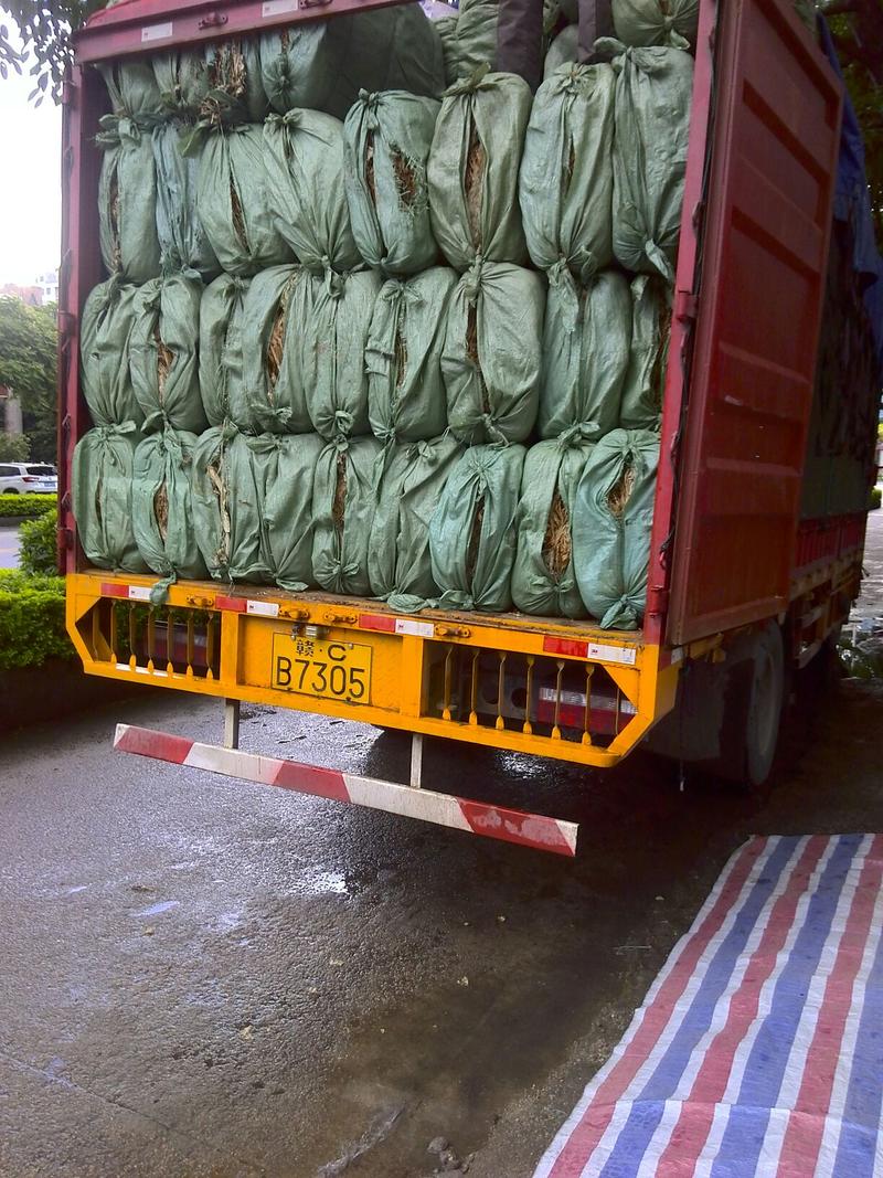 荷叶选货包装叶叫花鸡荷叶饭精品荷叶质量保证