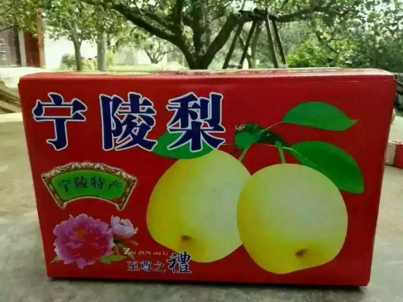 酥梨光果300~350g