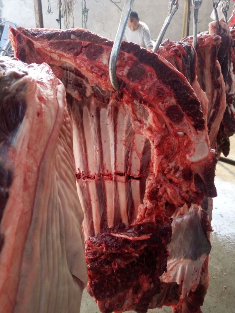 驴肉