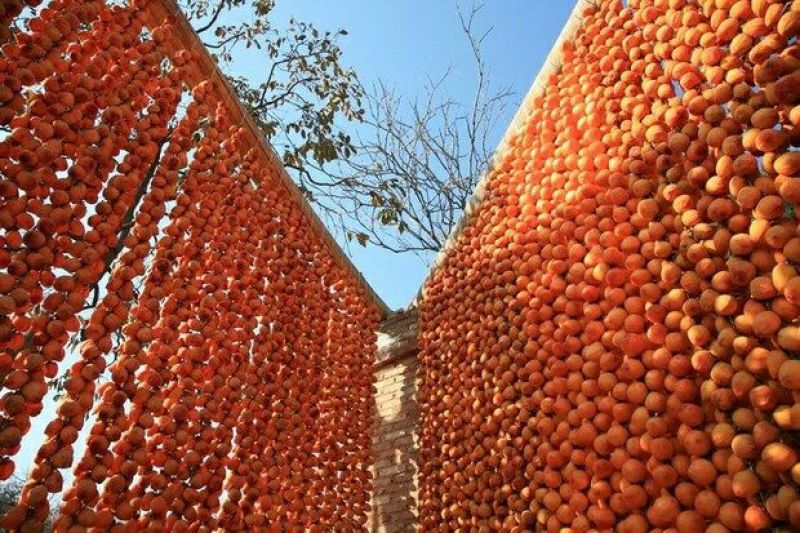 柿饼1~2两
