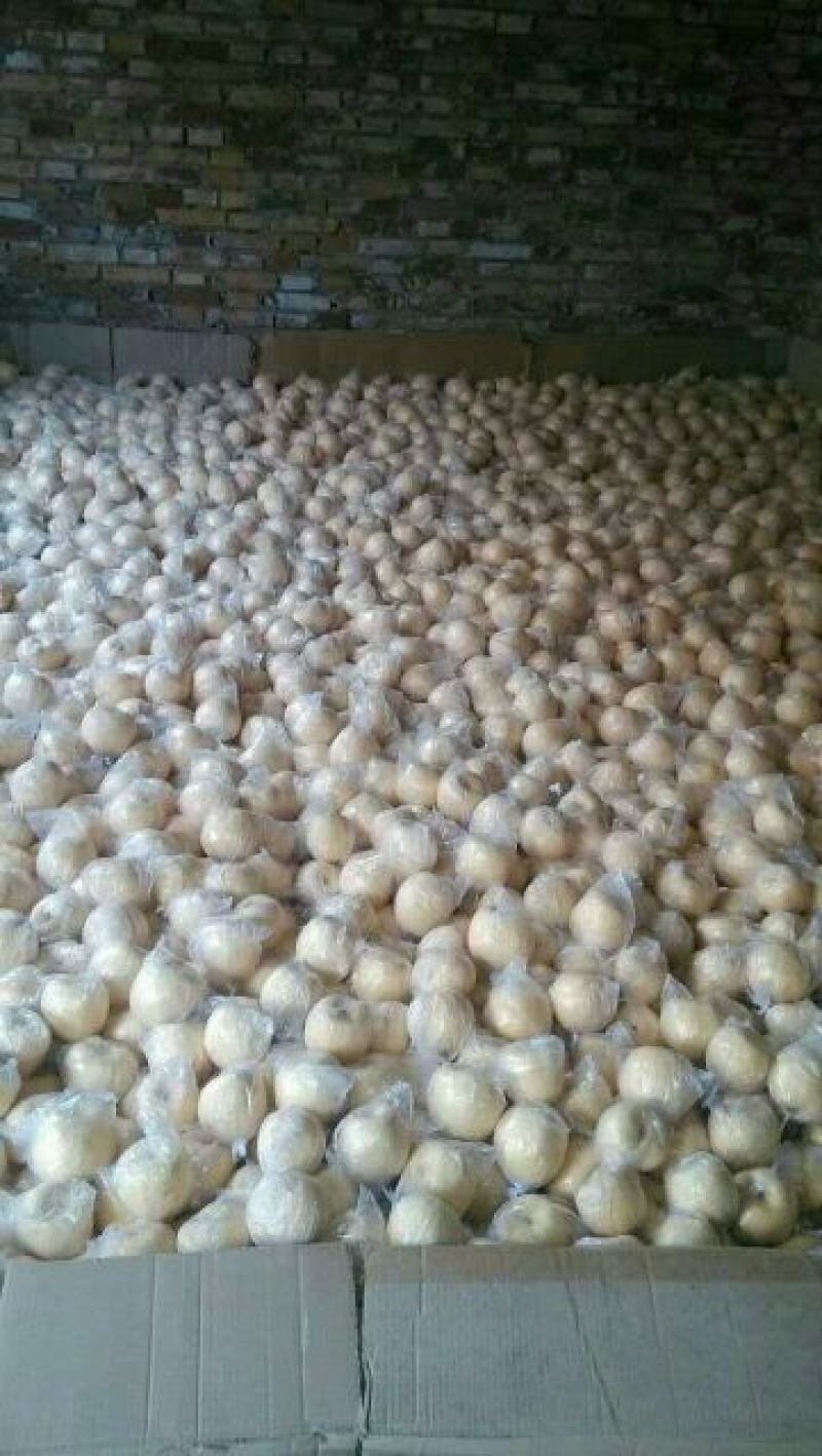 皇冠梨150~200g纸袋