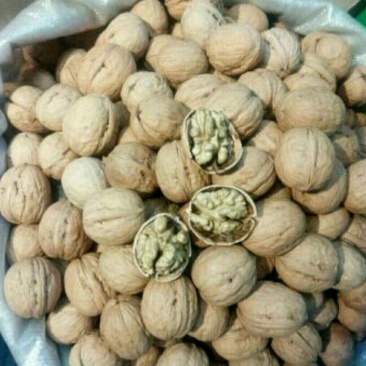 薄皮核桃去皮