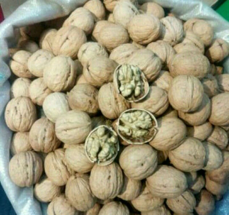 薄皮核桃去皮