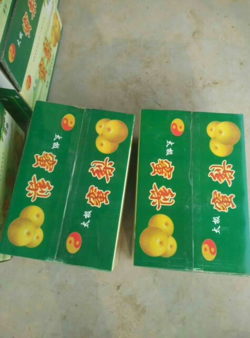晚秋黄梨500~550g纸箱