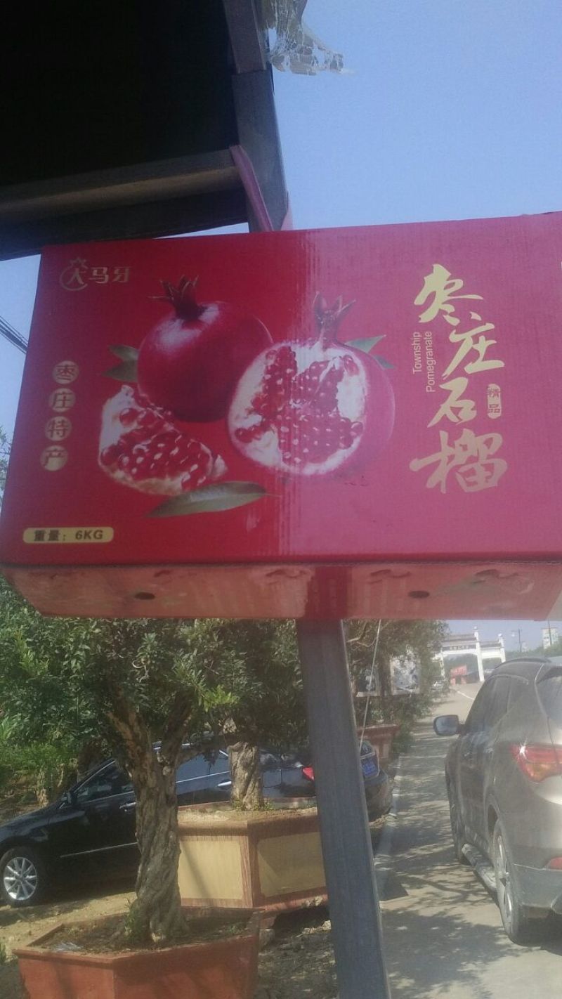 枣庄石榴8两~1斤