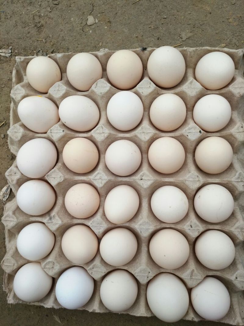 粉蛋食用50g以下
