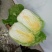 山东莒县黄心大白菜大量上市