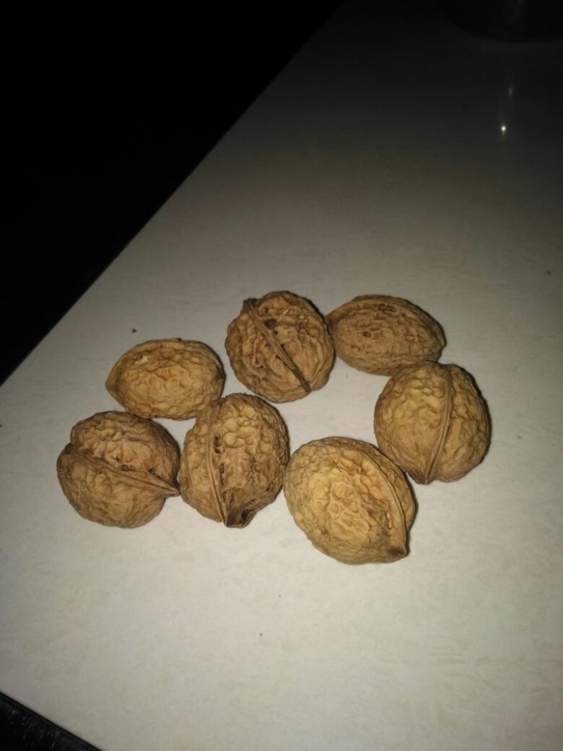 薄皮核桃25mm以下去皮干
