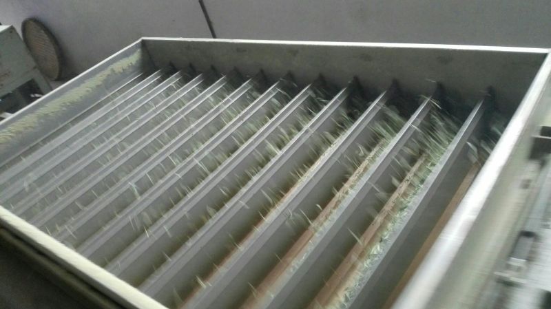石阡苔茶特级