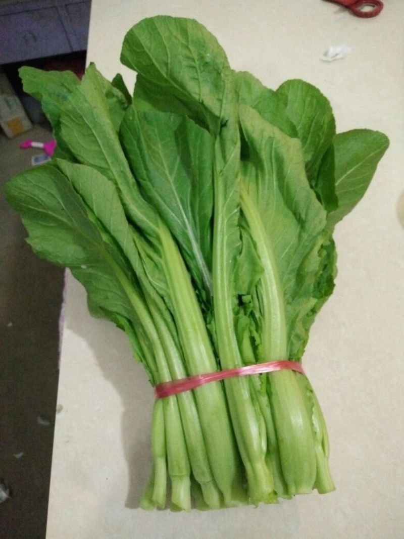 蔬菜