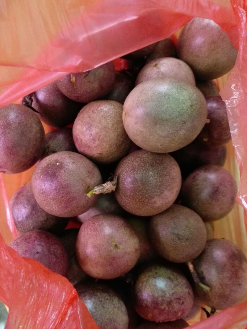 百香果