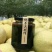 梨膏