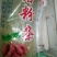 红薯粉条中粉