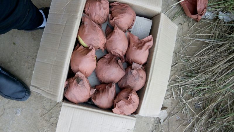 酥梨550~600g纸箱