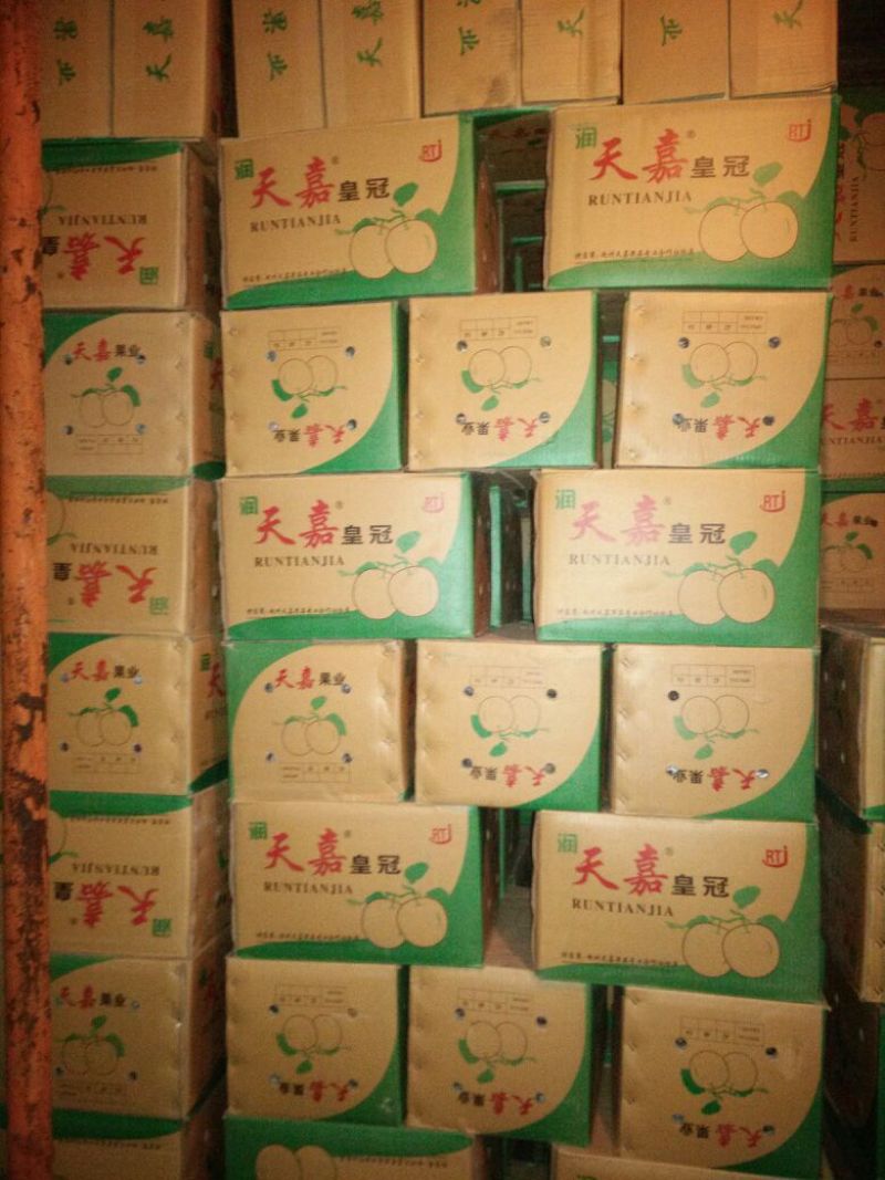 皇冠梨300~350g纸袋