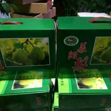 莱阳梨纸箱350~400g