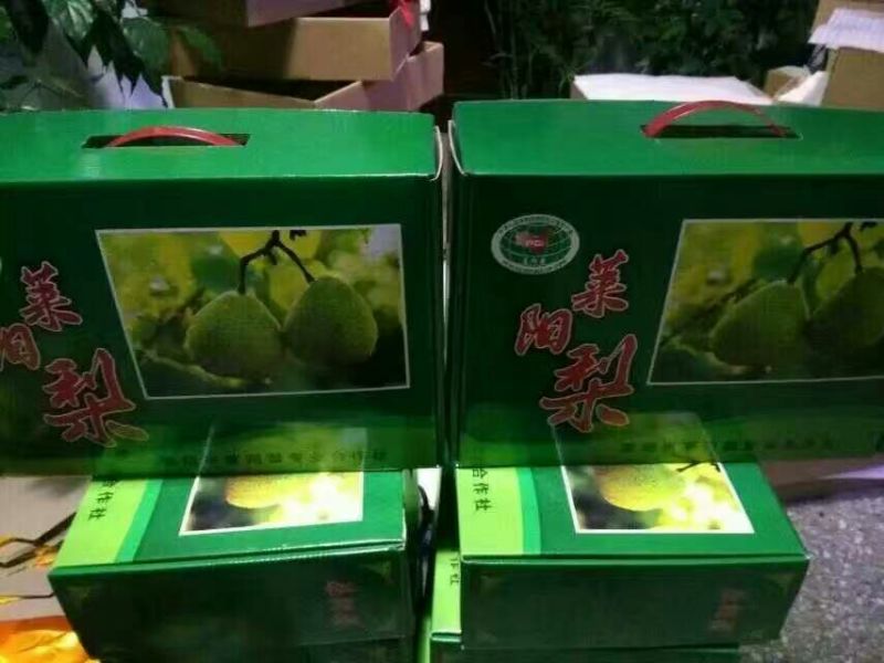 莱阳梨纸箱350~400g