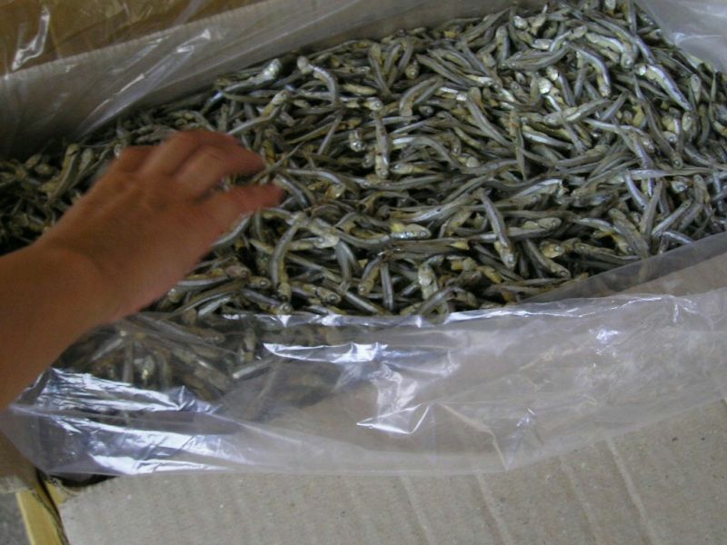 河汊小干鱼