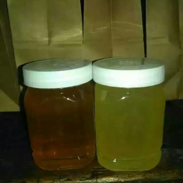 油菜蜜5斤以上
