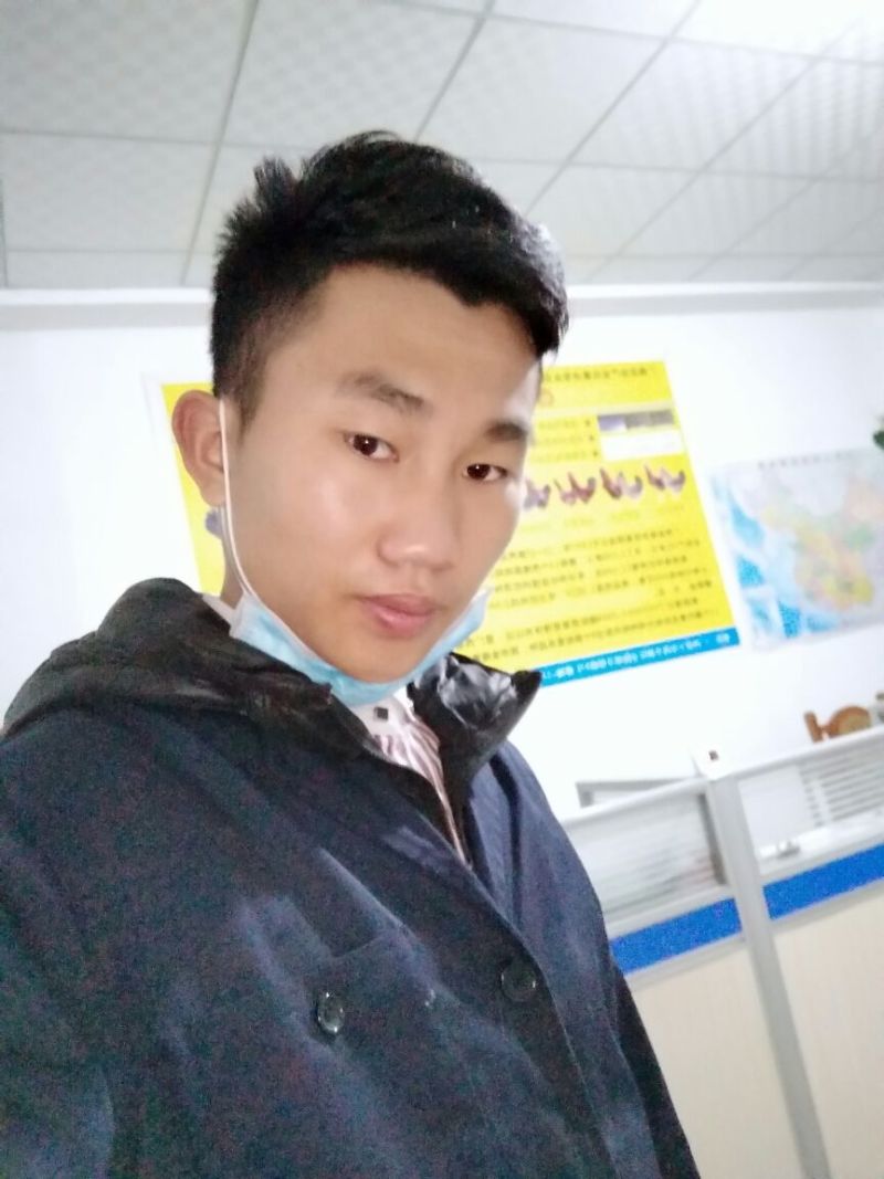 鸡苗60~70克出壳苗