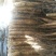 白玉山药3-5厘米通货30~35厘米