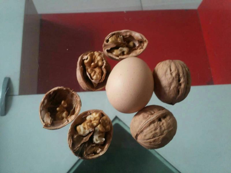 香玲核桃30mm以上去皮干