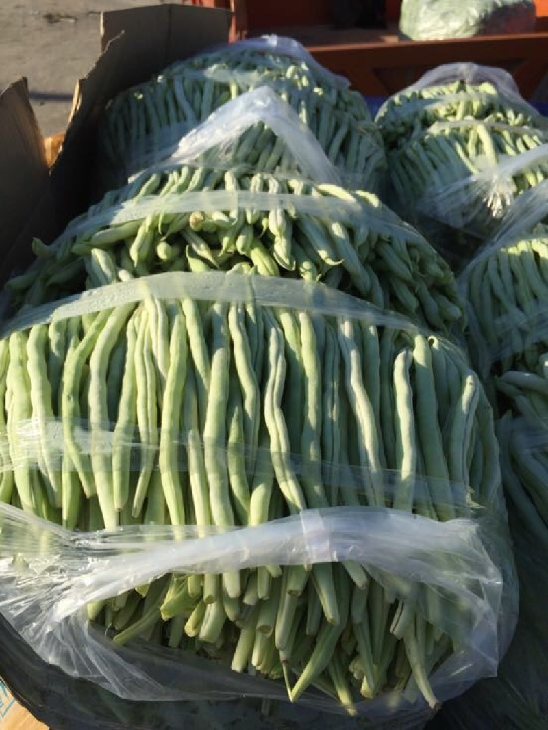 蛇豆大量上市欢迎新老客户选购