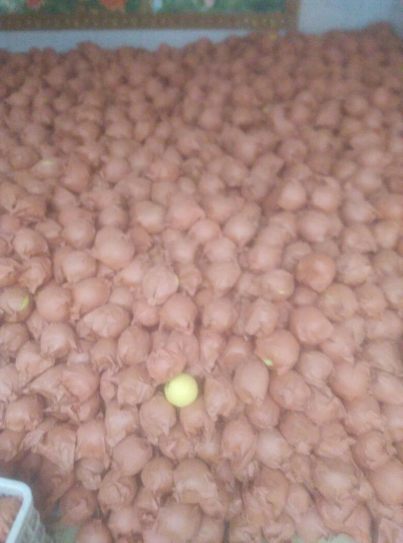 贡梨100~150g纸箱