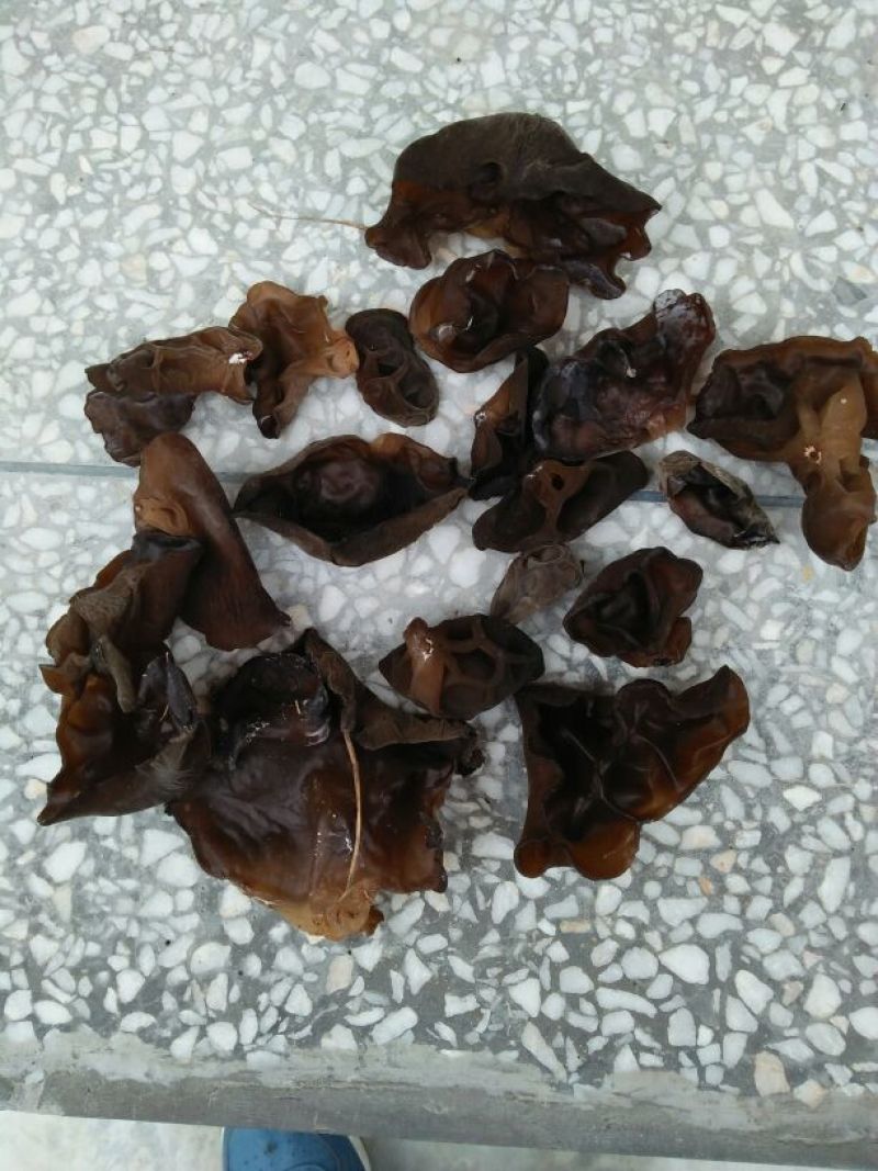 黑山秋耳一级