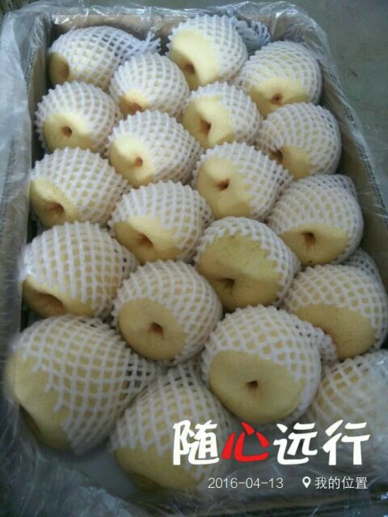 贡梨250~300g纸袋