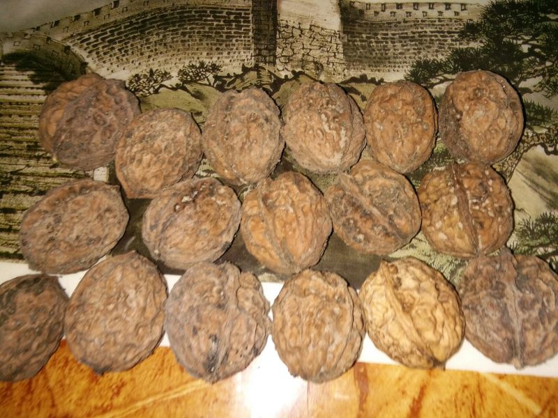 山核桃去皮干
