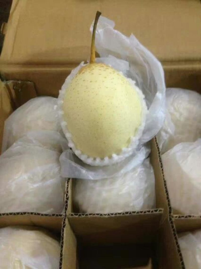 鸭梨200~250g纸箱