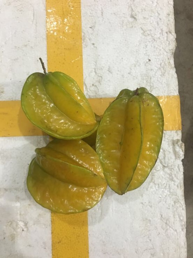 红杨桃