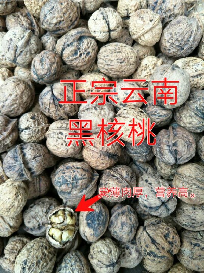山核桃30mm以上去皮干