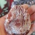 柿饼1~2两
