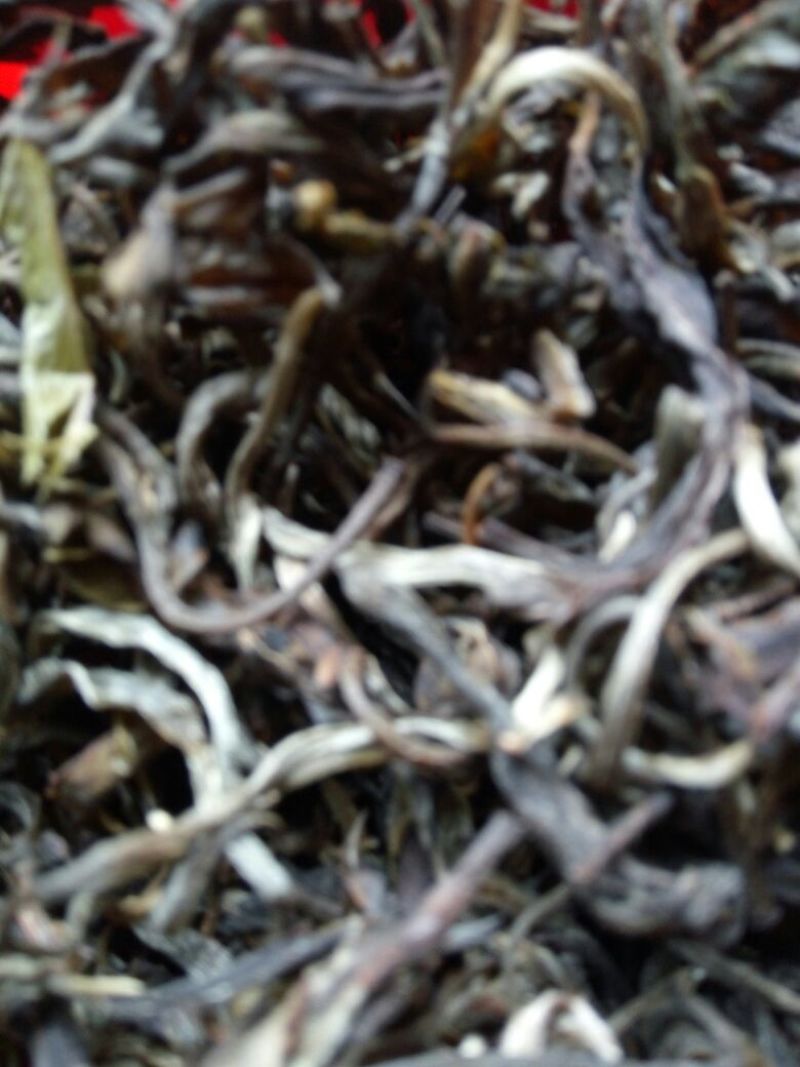本山茶一级