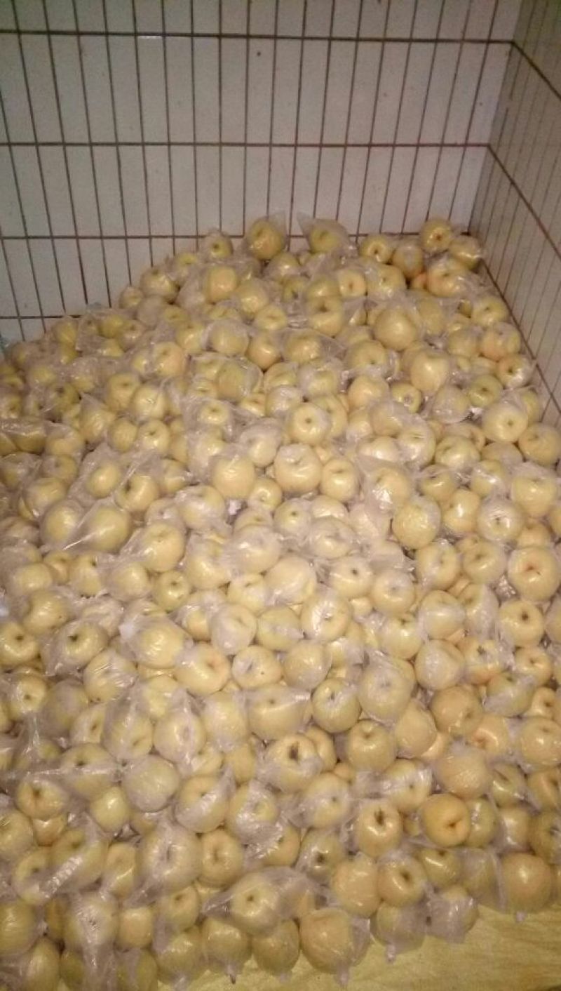 酥梨250~300g纸袋