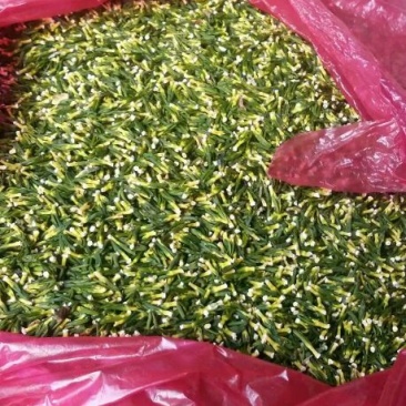 莲子手工莲子心边莲子心一根根的颜色漂亮，机器开边莲子心