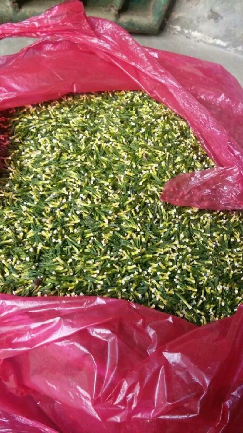 莲子手工莲子心边莲子心一根根的颜色漂亮，机器开边莲子心