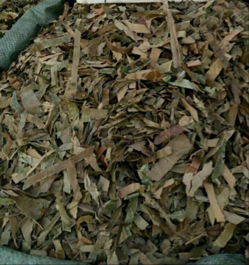 枇杷叶青统