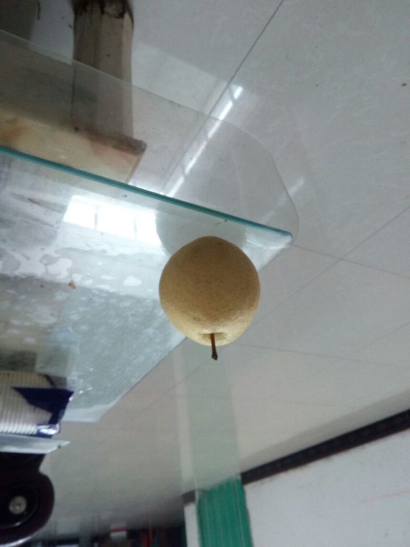 酥梨200~250g纸箱