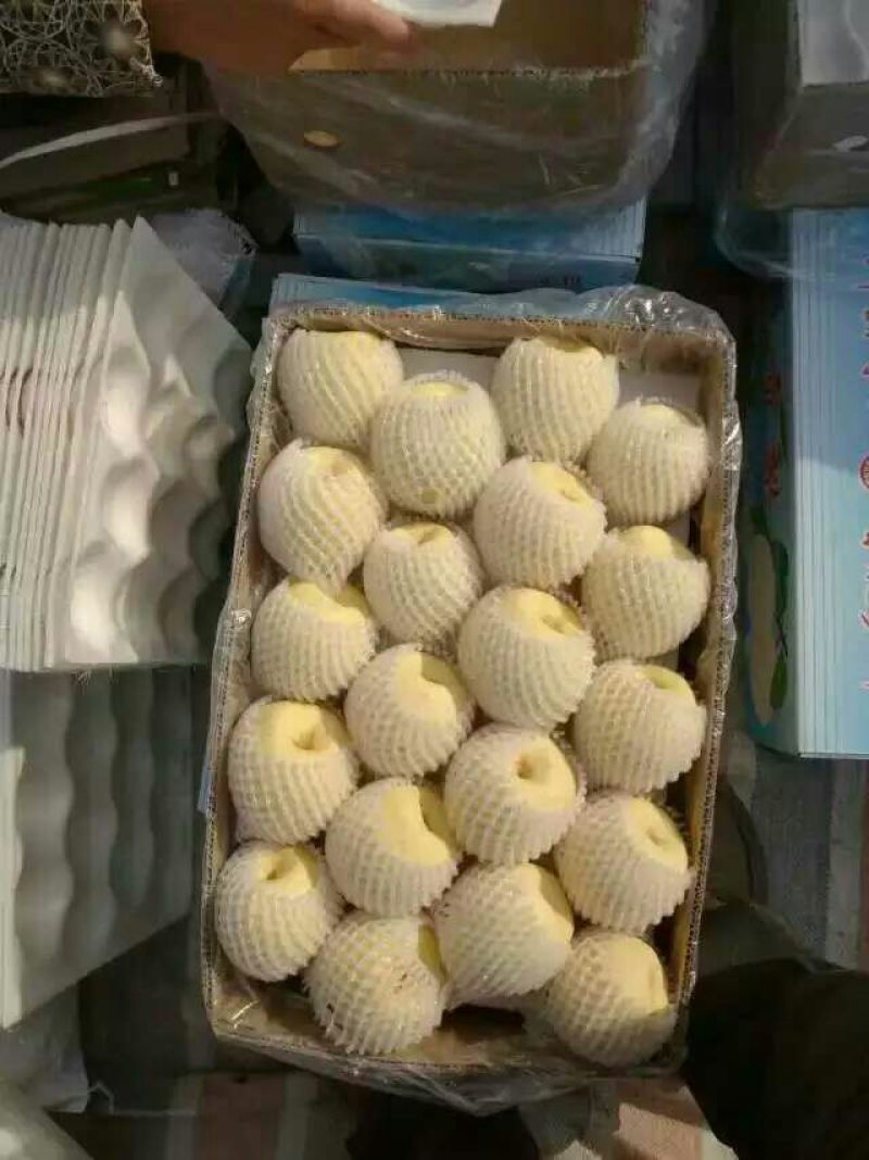 蒲城酥梨陕西渭南蒲城县酥梨之乡品质优良