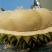 猫山王3~5斤